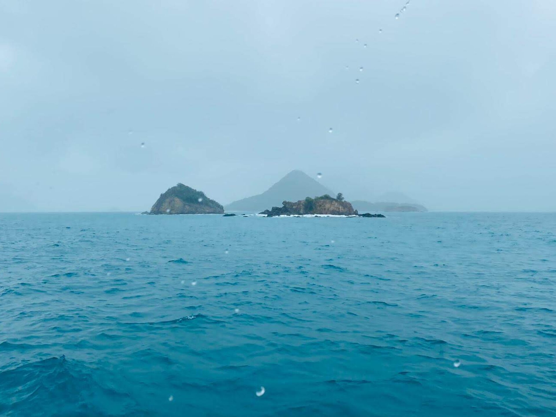 Digital chart plotter